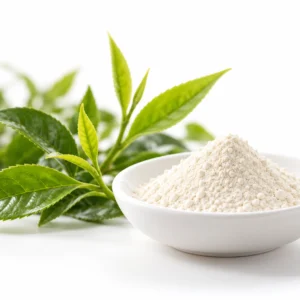 Off-white Epicatechin (EC) powder in a white dish beside fresh green tea leaves