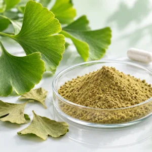 Ginkgo biloba leaves beside a dish of standardized botanical extract