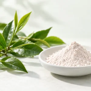 Off-white to light pink Epigallocatechin (EGC) powder with green tea leaves