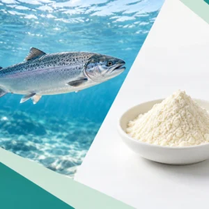 Pale salmon nasal cartilage extract powder beside salmon source imagery