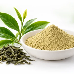 Light yellow-green tea polyphenol powder in a white dish with fresh and dried green tea leaves.